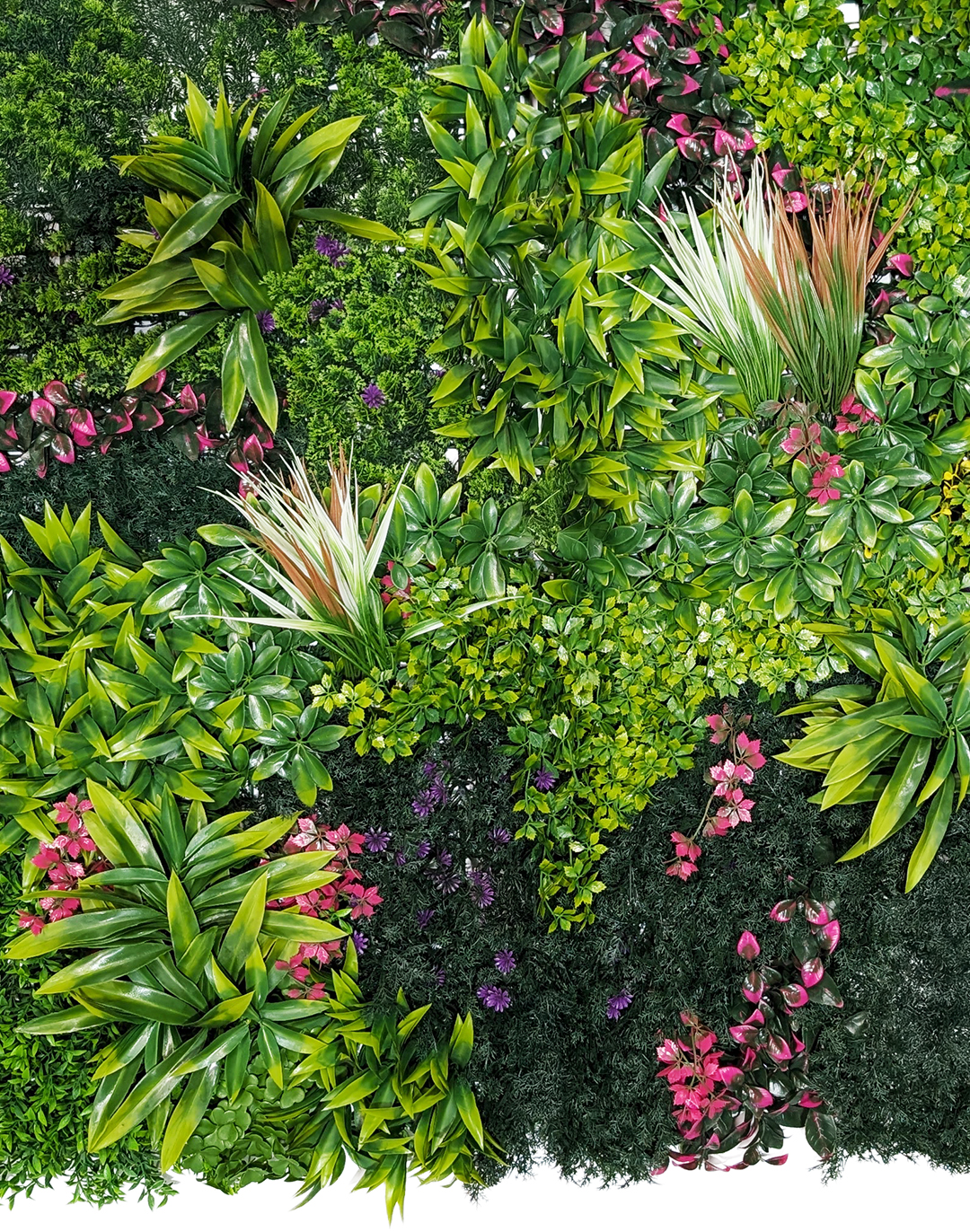 Pflanzenwand Lavenda Jungle 100x100 cm Pflanzenwand Lavenda Jungle 100x100 cm