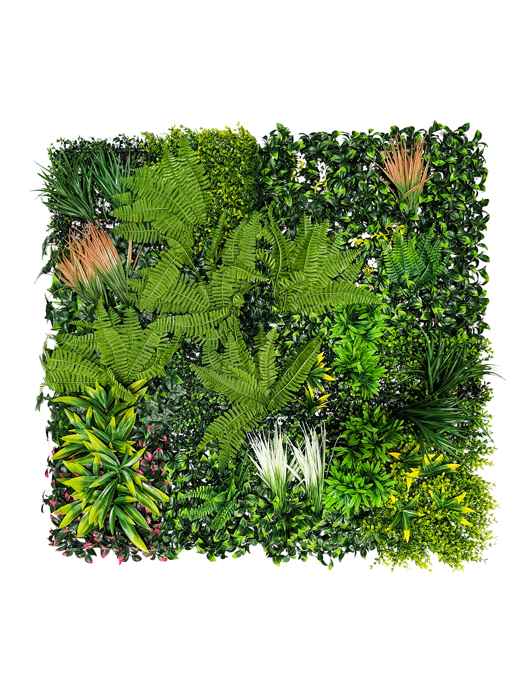 Pflanzenwand - Tropical Shadows (264) - 100x100 cm Künstliche Pflanzenwand Tropical Shadows mit Farnblättern, Tilandsien und buntem Grün für Wohnraum und Büro