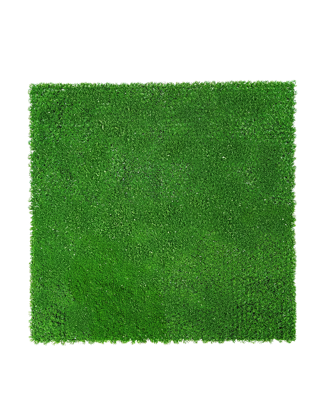 Pflanzenwand Absolute Moss 100x100 cm