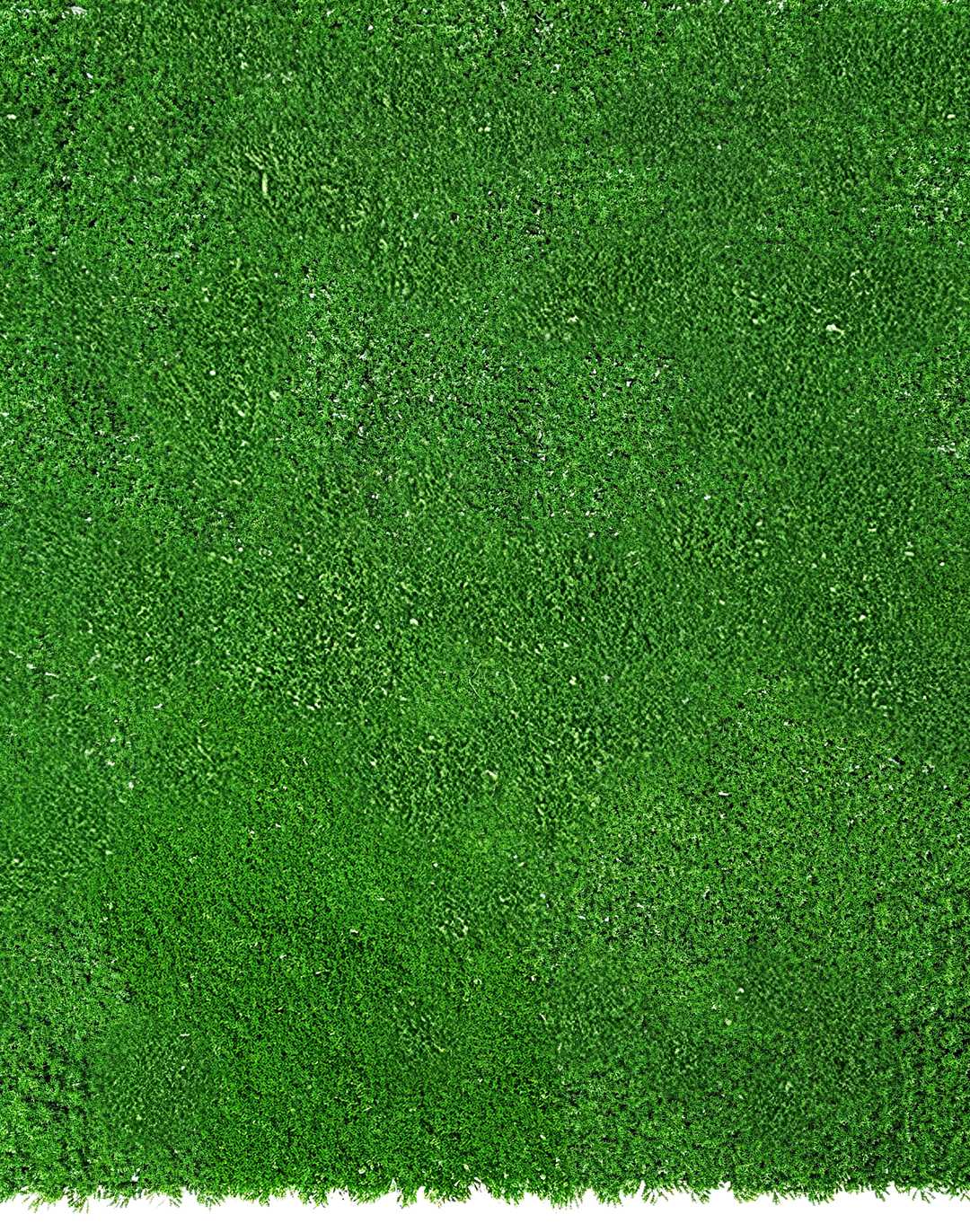 Pflanzenwand - Absolute Moss (251) - 100x100 cm Akustil Absolute Moos Pflanzenwand grün natürlich Wandpaneel Büro Wohnraum Gastronomie Akustikpaneel