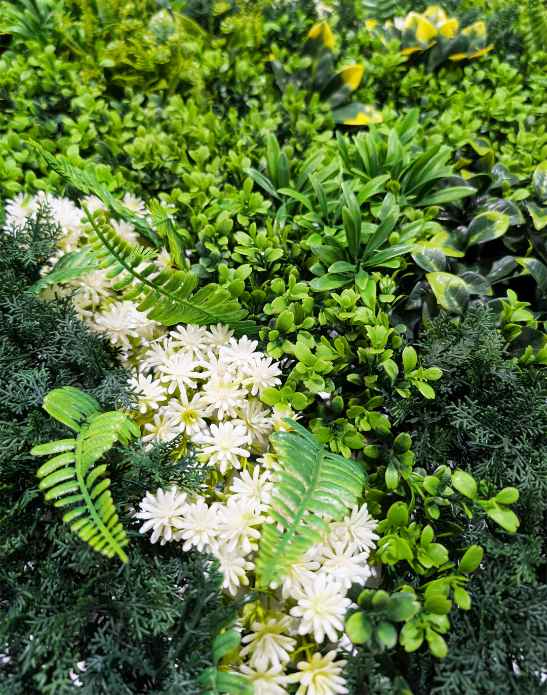 Pflanzenwand - Leaf & Loom (260) - 100x100 cm Pflanzenwand - Leaf & Loom (260) - 100x100 cm