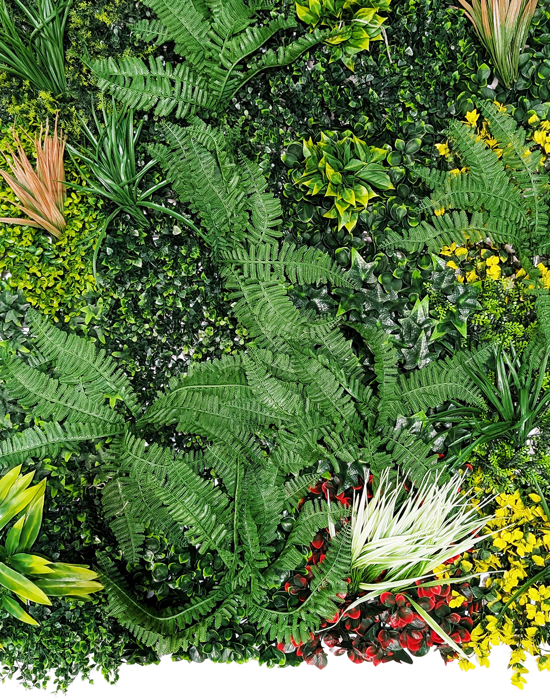 Pflanzenwand - Jungle Essence (258) - 100x100 cm AKUSTIL Jungle Essence Pflanzenwand mit tropischen Farnen und Blättern in Grün Rot Gelb für Wohnraum und Büro
