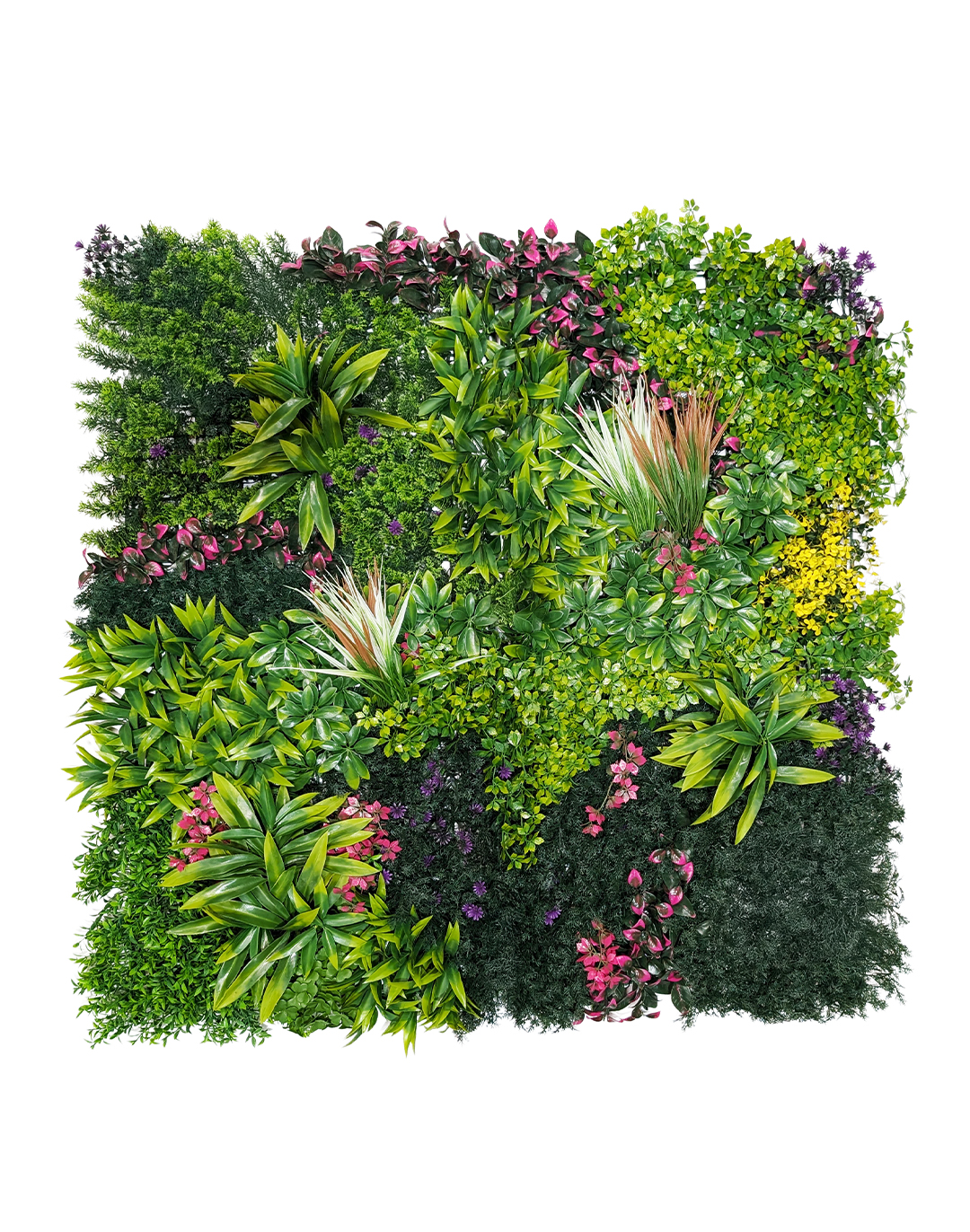 Pflanzenwand Lavenda Jungle 100x100 cm Pflanzenwand Lavenda Jungle 100x100 cm