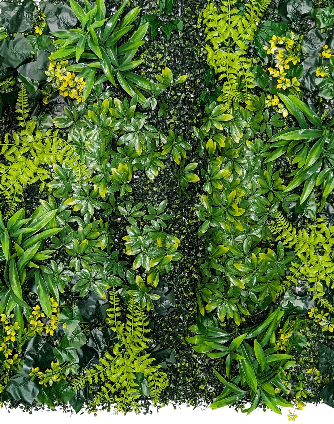 Pflanzenwand Green Cascade 100x100 cm