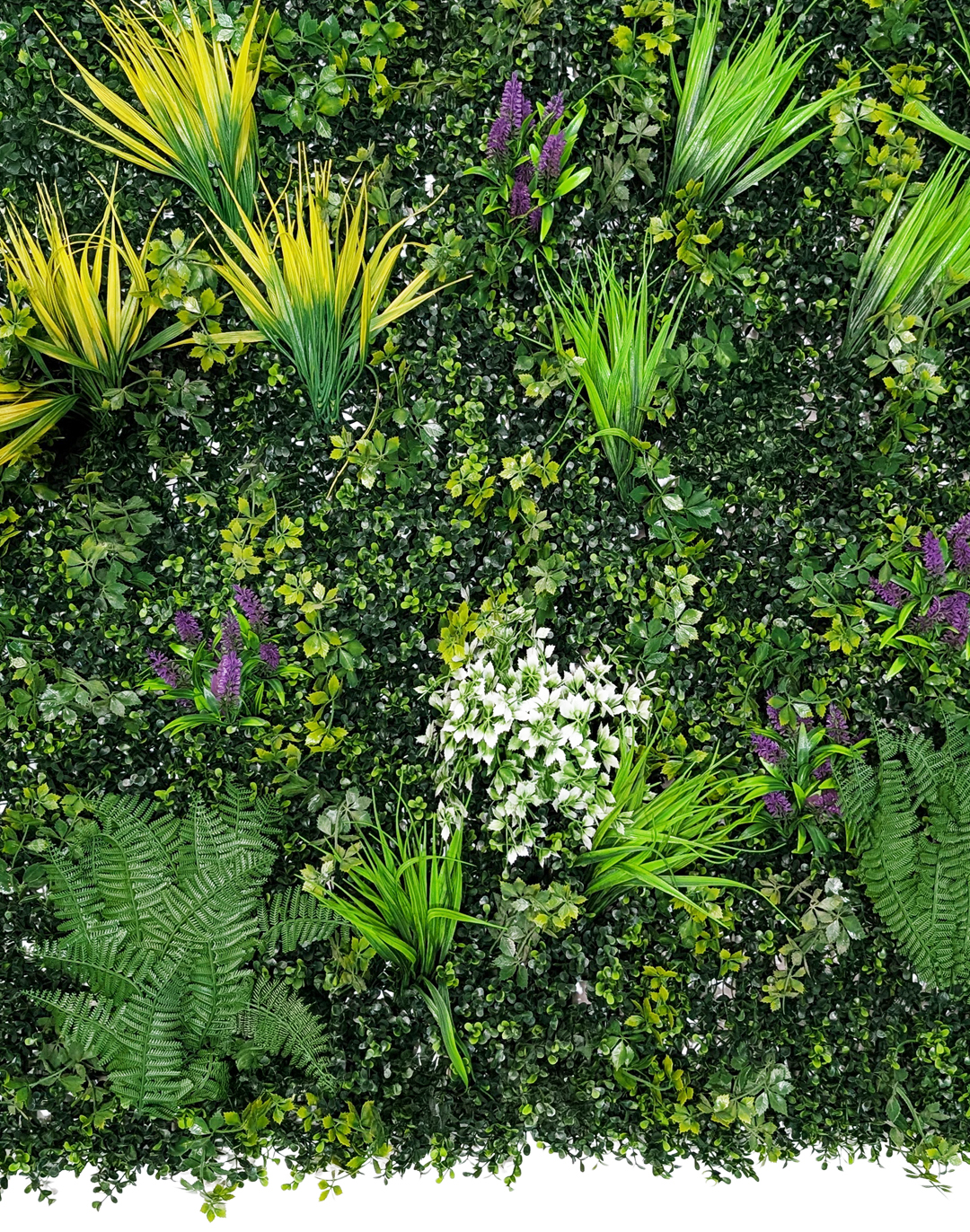 Pflanzenwand - Lush Vibrance (261) - 100x100 cm AKUSTIL Lush Vibrance Pflanzenwand mit grünen Blättern, lila Blüten und Farngras für Büro und Gastronomie