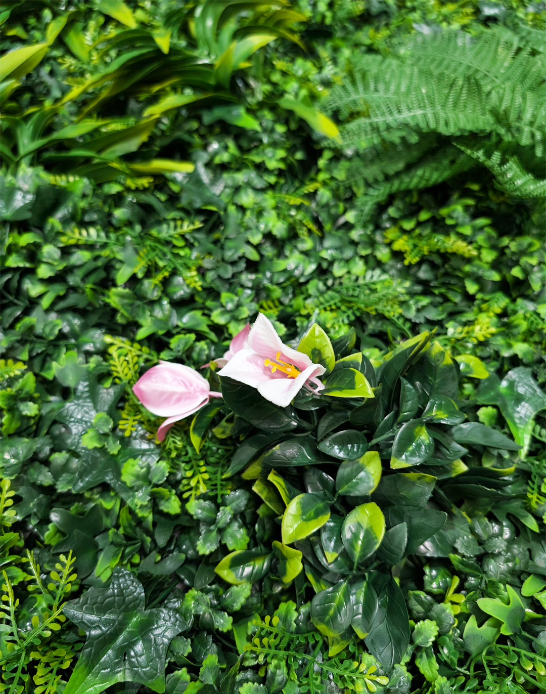 Pflanzenwand Wild Paradise 100x100 cm