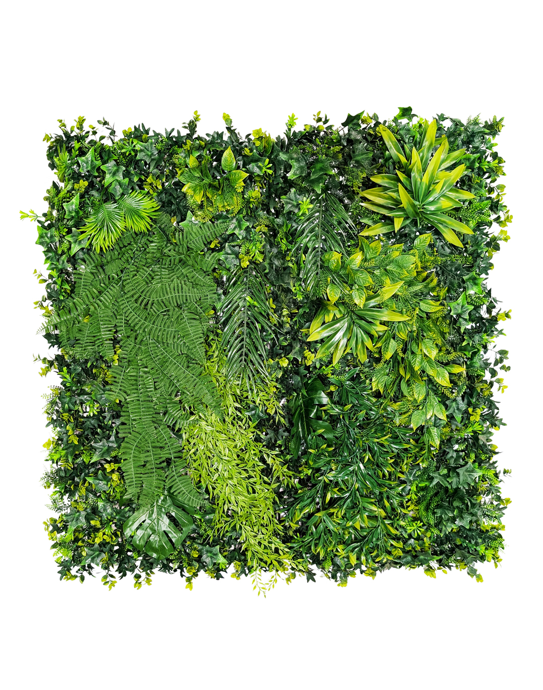 Pflanzenwand Hanging Jungle 100x100 cm Pflanzenwand Hanging Jungle 100x100 cm
