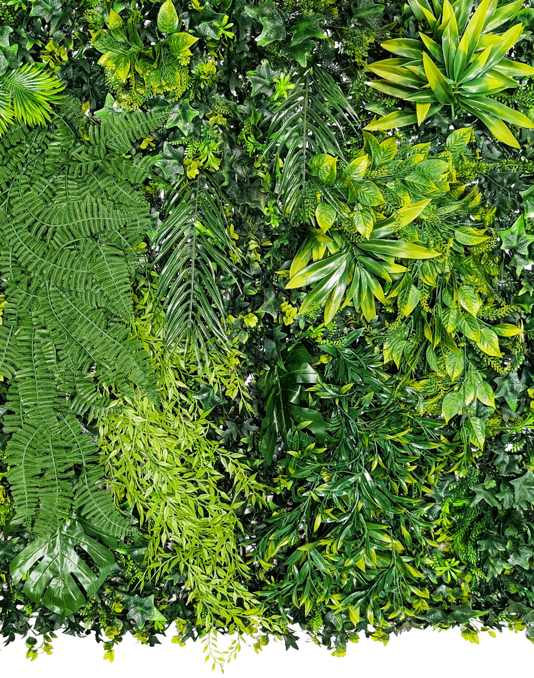 Pflanzenwand Hanging Jungle 100x100 cm