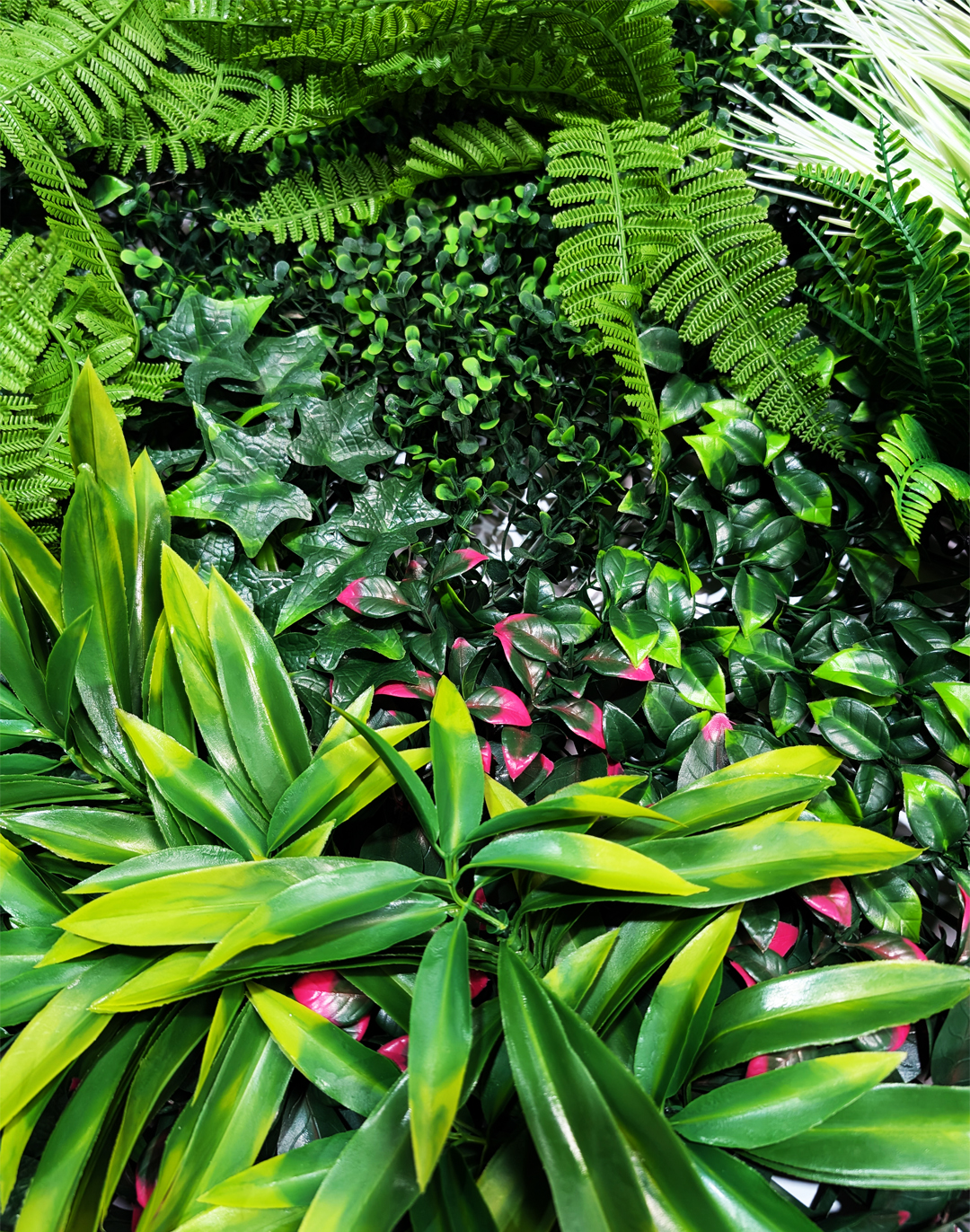 Pflanzenwand - Tropical Shadows - 100x100 cm AKUSTIL Tropical Shadows 3 Pflanzenwand mit grünen Farnblättern und rosa Akzenten für Büro und Gastronomie