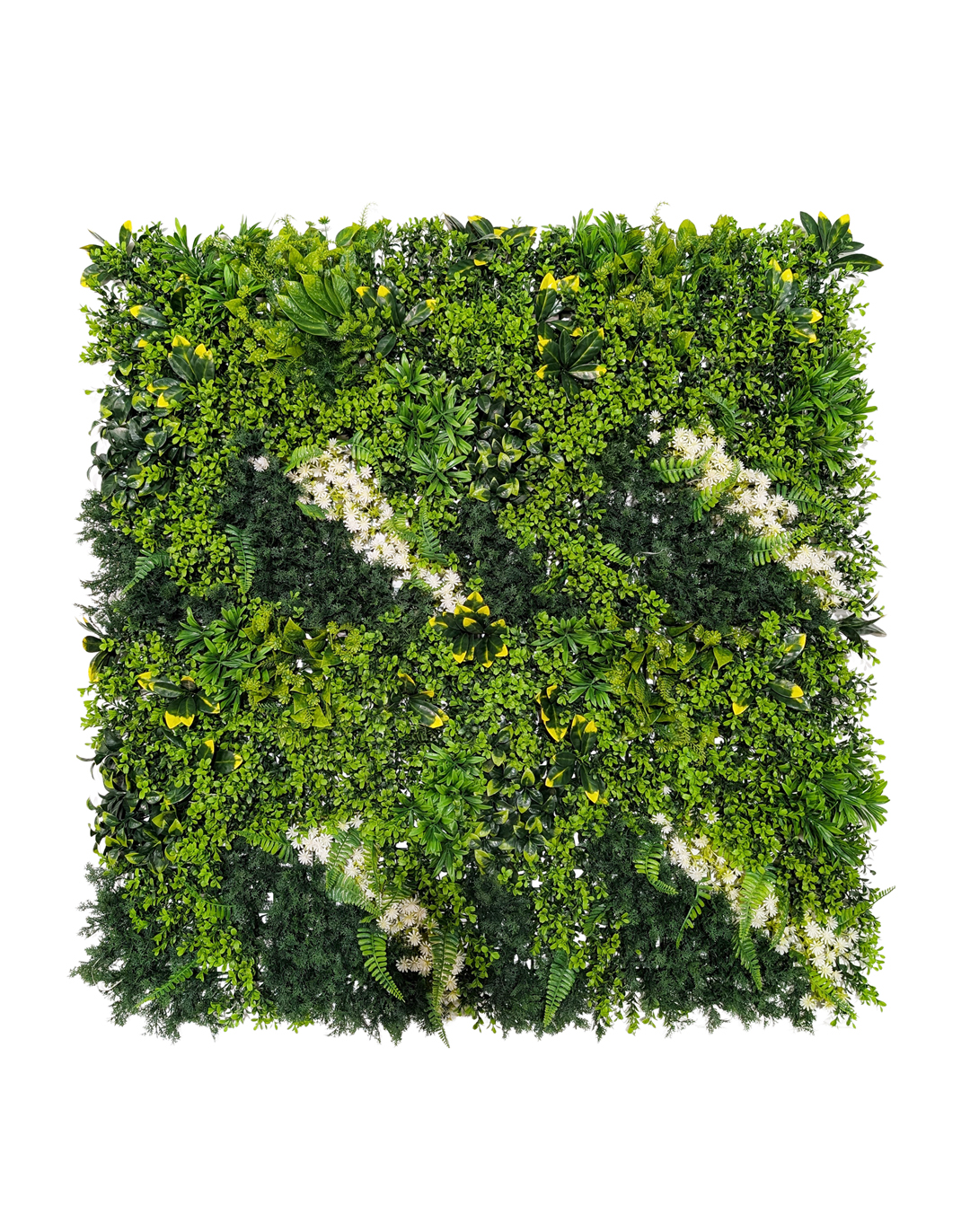 Pflanzenwand Leaf & Loom 100x100 cm