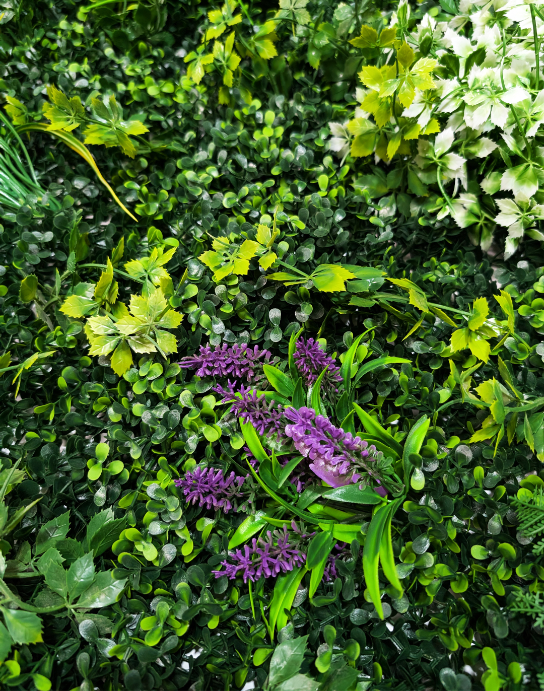 Pflanzenwand Lush Vibrance 100x100 cm Pflanzenwand Lush Vibrance 100x100 cm