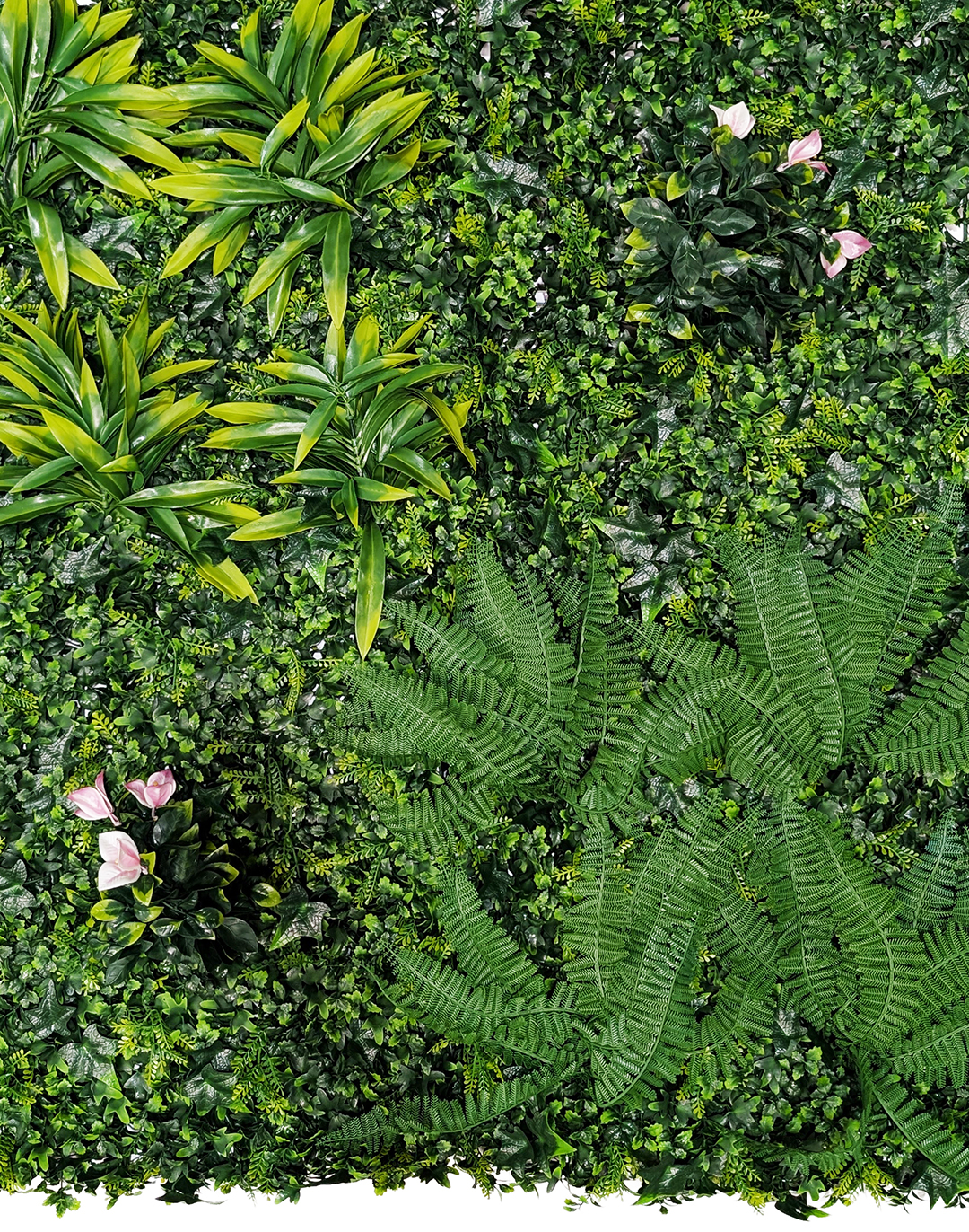 Pflanzenwand - Wild Paradise (267) - 100x100 cm Künstliche Pflanzenwand Wild Paradise mit Farn, Dracaena und rosa Blüten für Büro und Gastronomie