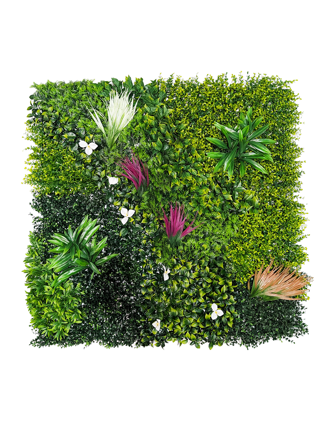 Pflanzenwand Tropical Glow 100x100 cm Pflanzenwand Tropical Glow 100x100 cm