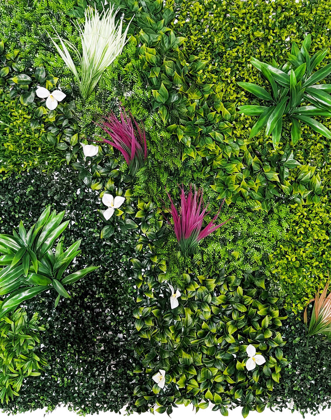 Pflanzenwand Tropical Glow 100x100 cm Pflanzenwand Tropical Glow 100x100 cm