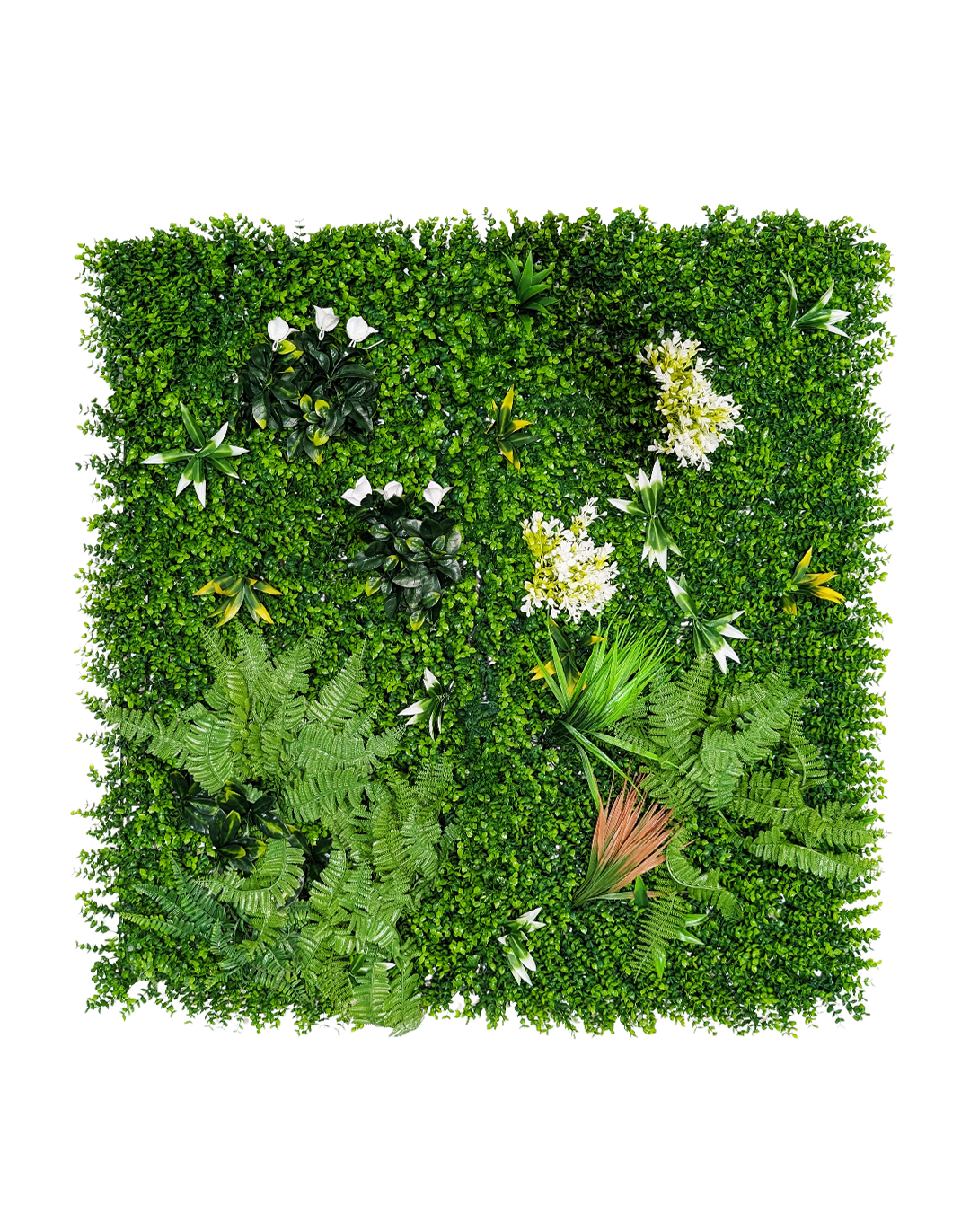 Pflanzenwand Ferns & Flowers 100x100 cm Pflanzenwand Ferns & Flowers 100x100 cm