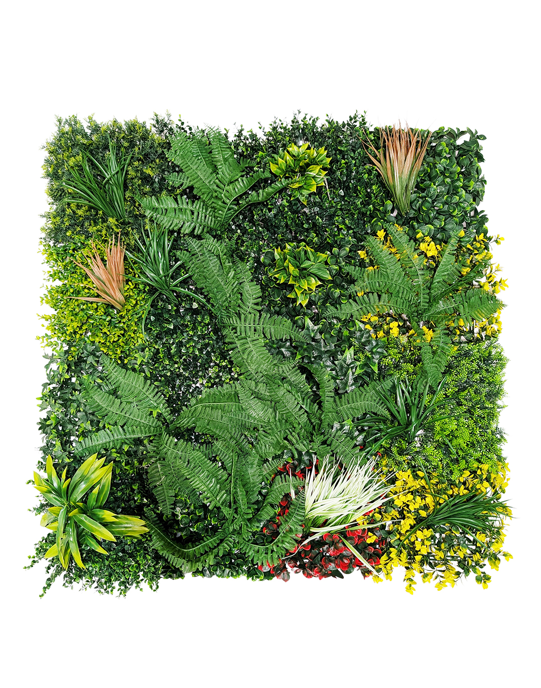 Pflanzenwand Jungle Essence 100x100 cm Pflanzenwand Jungle Essence 100x100 cm