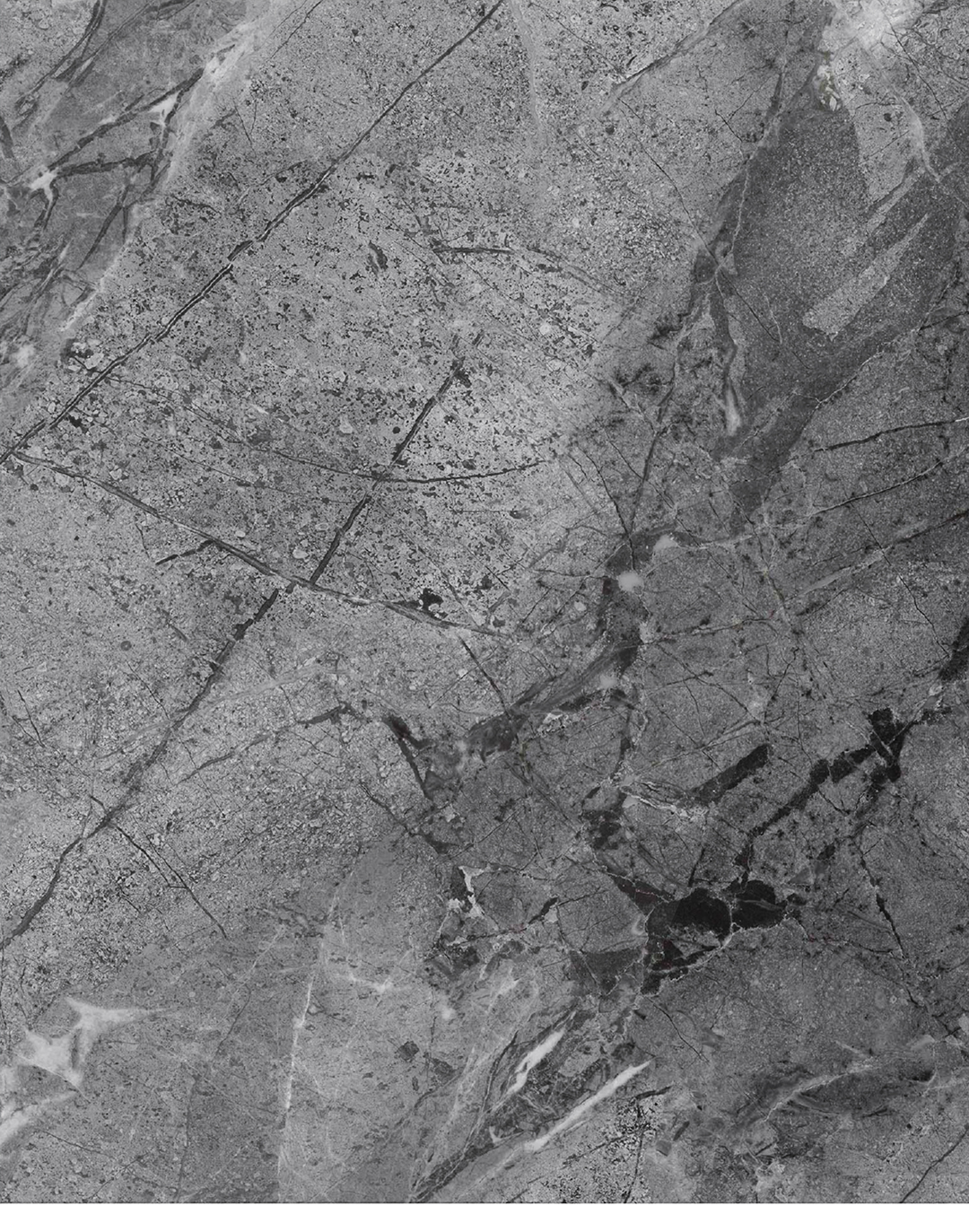 PVC-Paneel Marmor Oslo Grau 288x122 cm PVC-Paneel Marmor Oslo Grau 288x122 cm